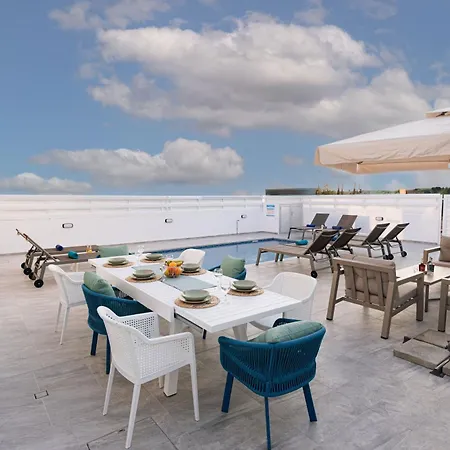 فيلة Dahlia Napa