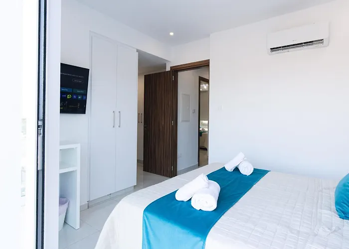 Dahlia Napa 아이아 나파